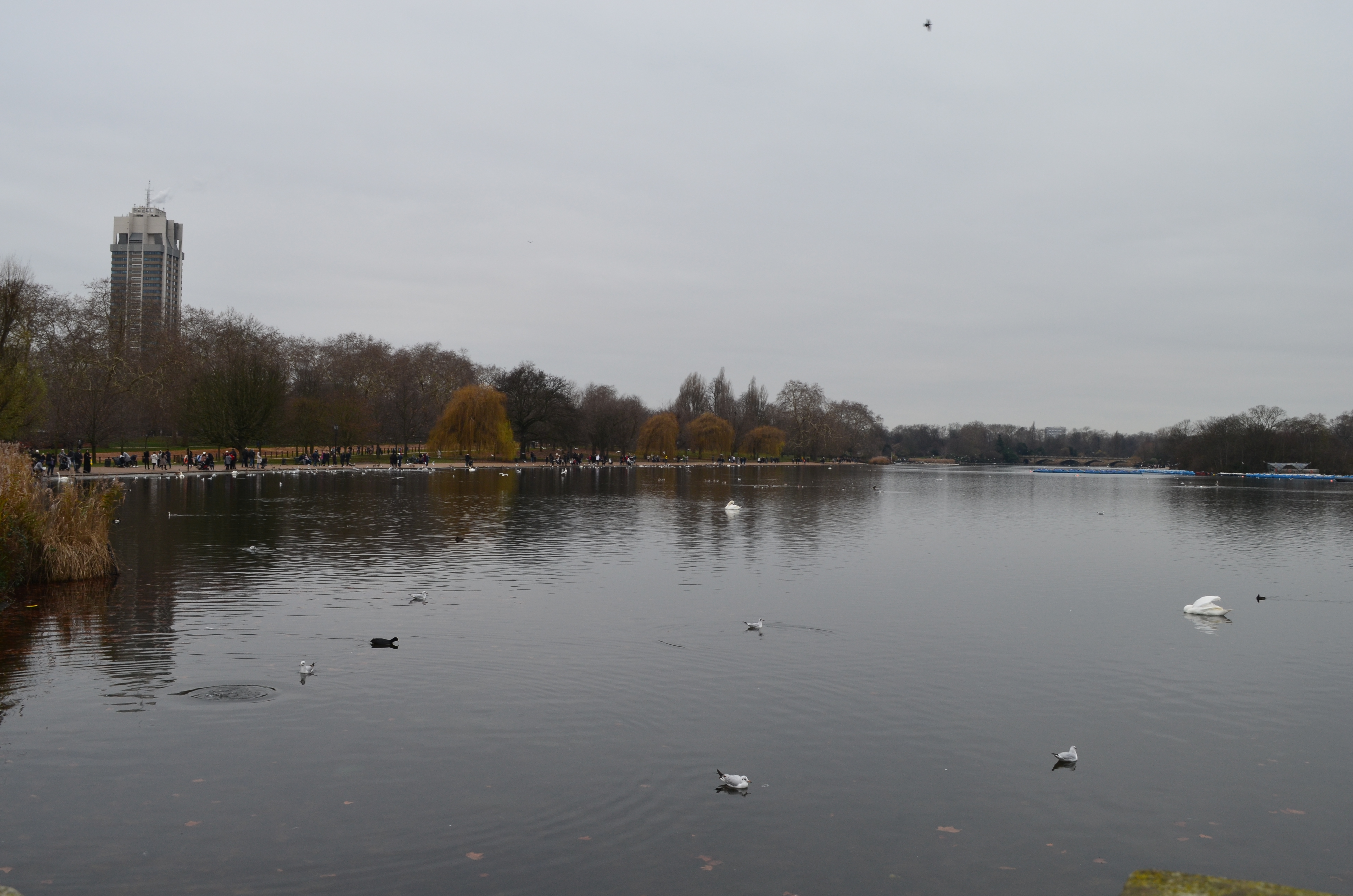 ./2018/15 - London/03 - Day 3/DSC_0395.JPG